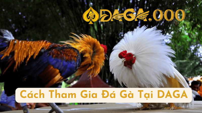 Cách Tham Gia Đá Gà Tại DAGA