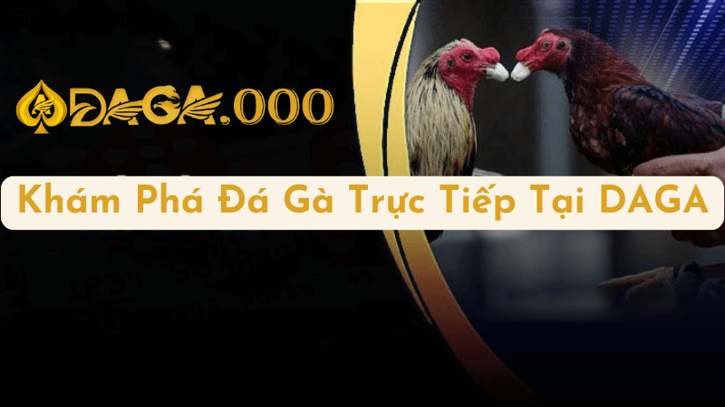 Khám Phá Đá Gà Trực Tiếp Tại DAGA