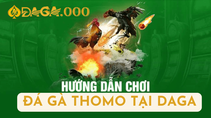 Cách Thức Đặt Cược Đá Gà Thomo Tại DAGA